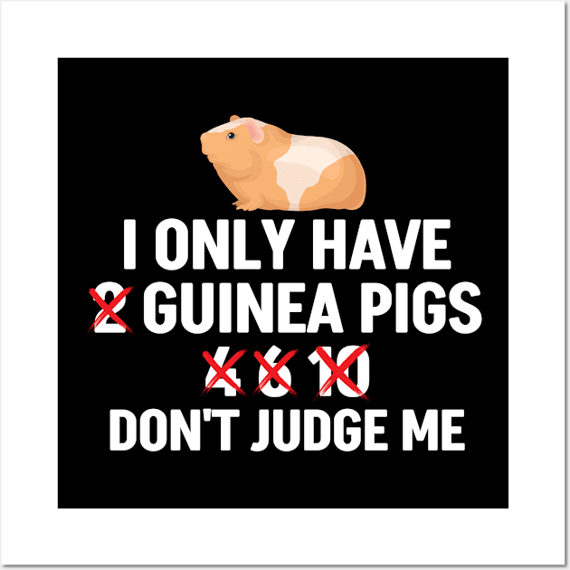 Funny Guinea Pig Owner Wall Art by White Martian